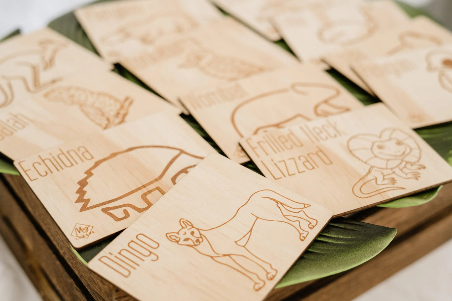 Australian Animal Flashcards- My Luxeve — The Magical Sensory Box