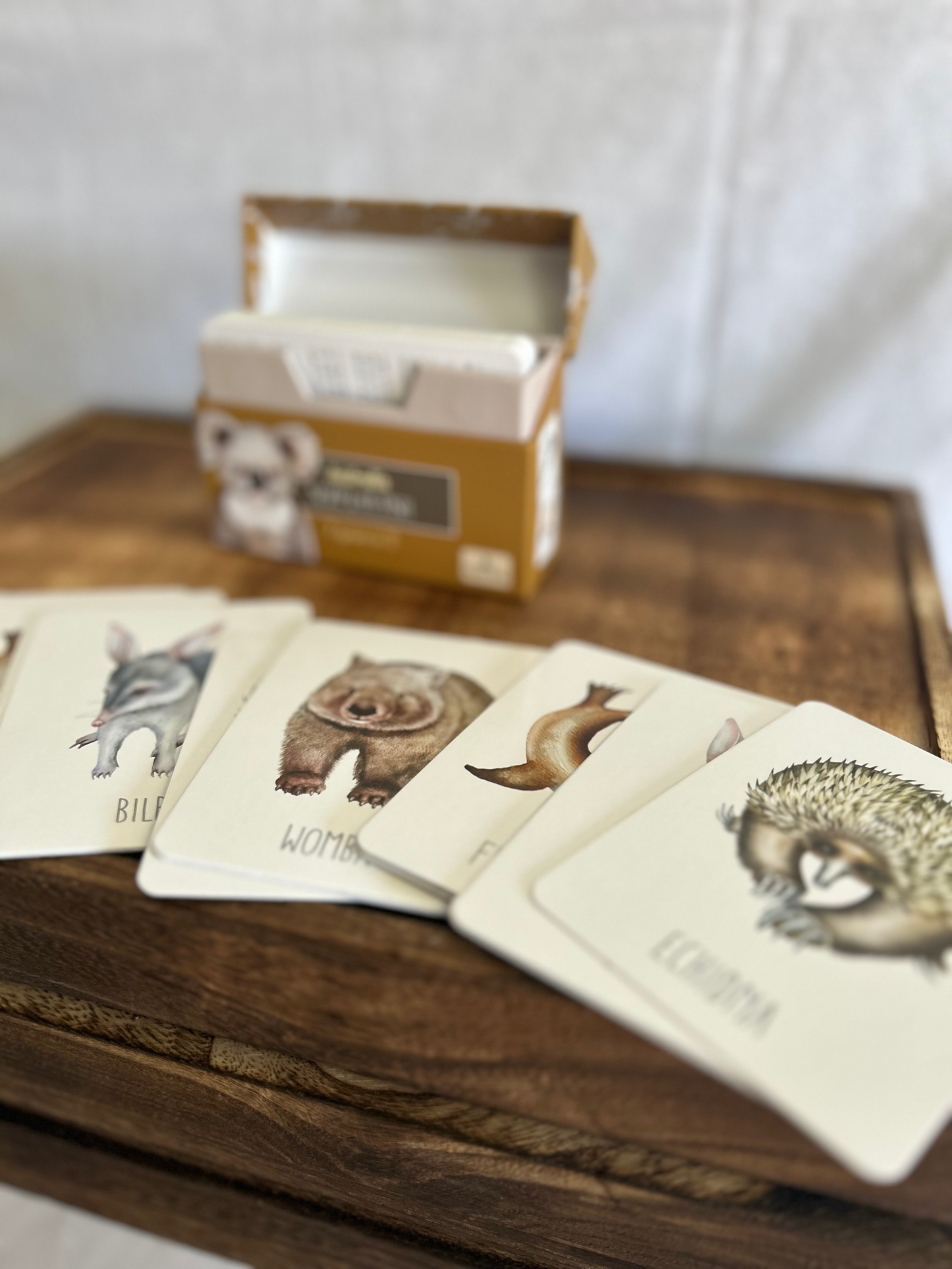 Modern Monty Australia Snap & Go Fish